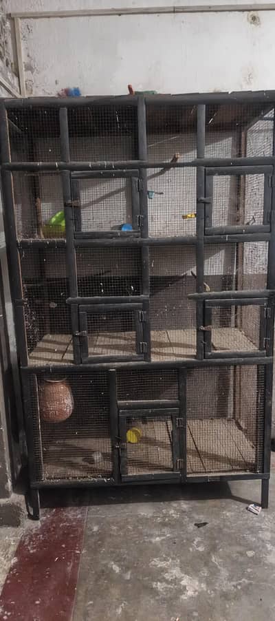 parrots and pegions cage