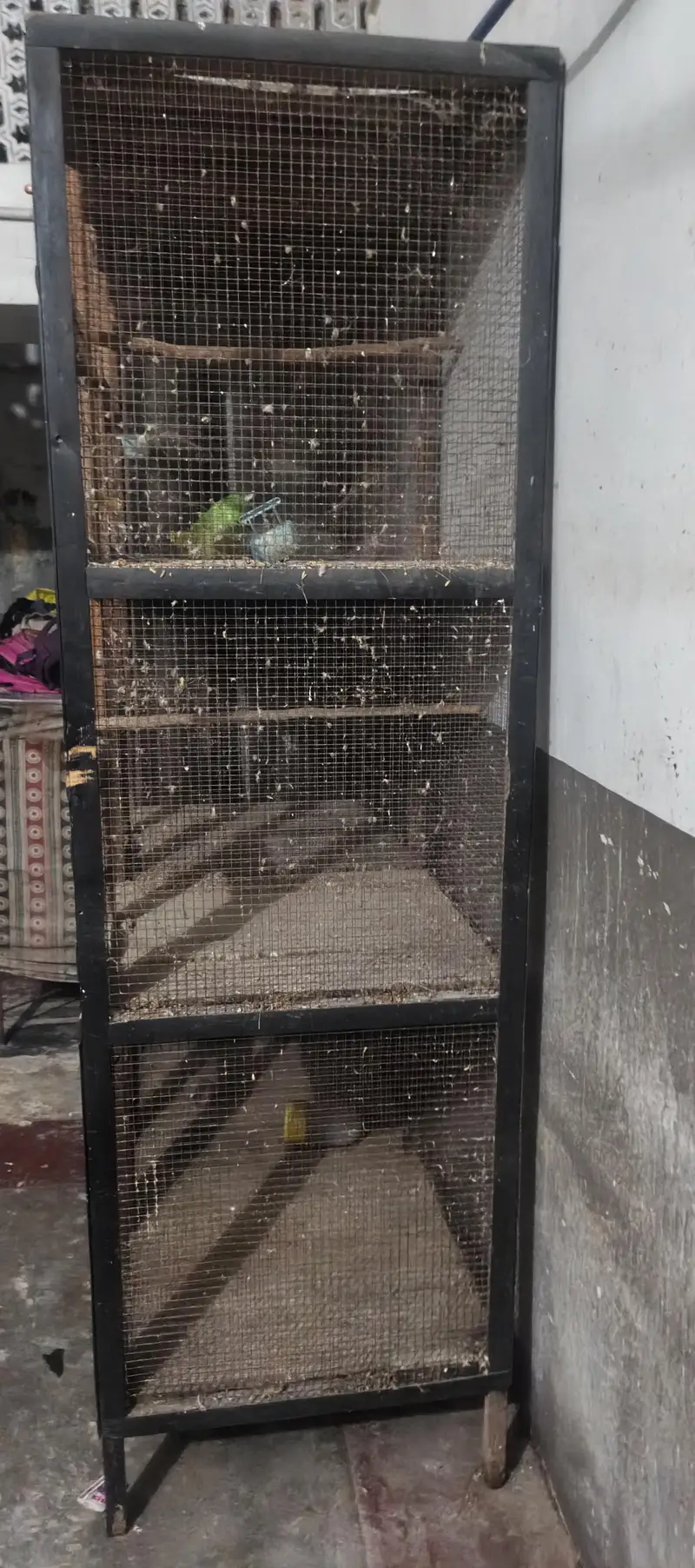 parrots and pegions cage — photo 2