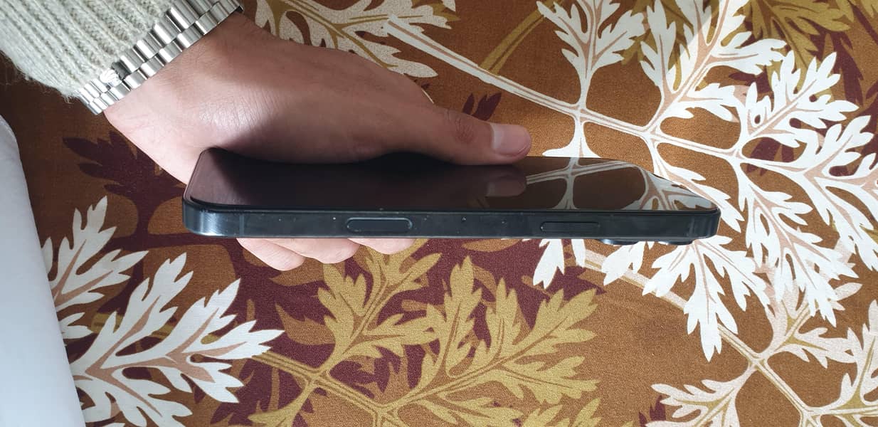 Apple iPhone 16 Pro Max 1