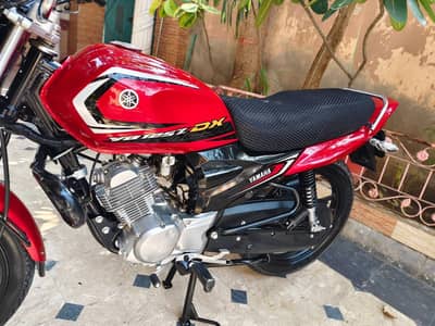 Yamaha Ybz 125 DX 2025 Brand New