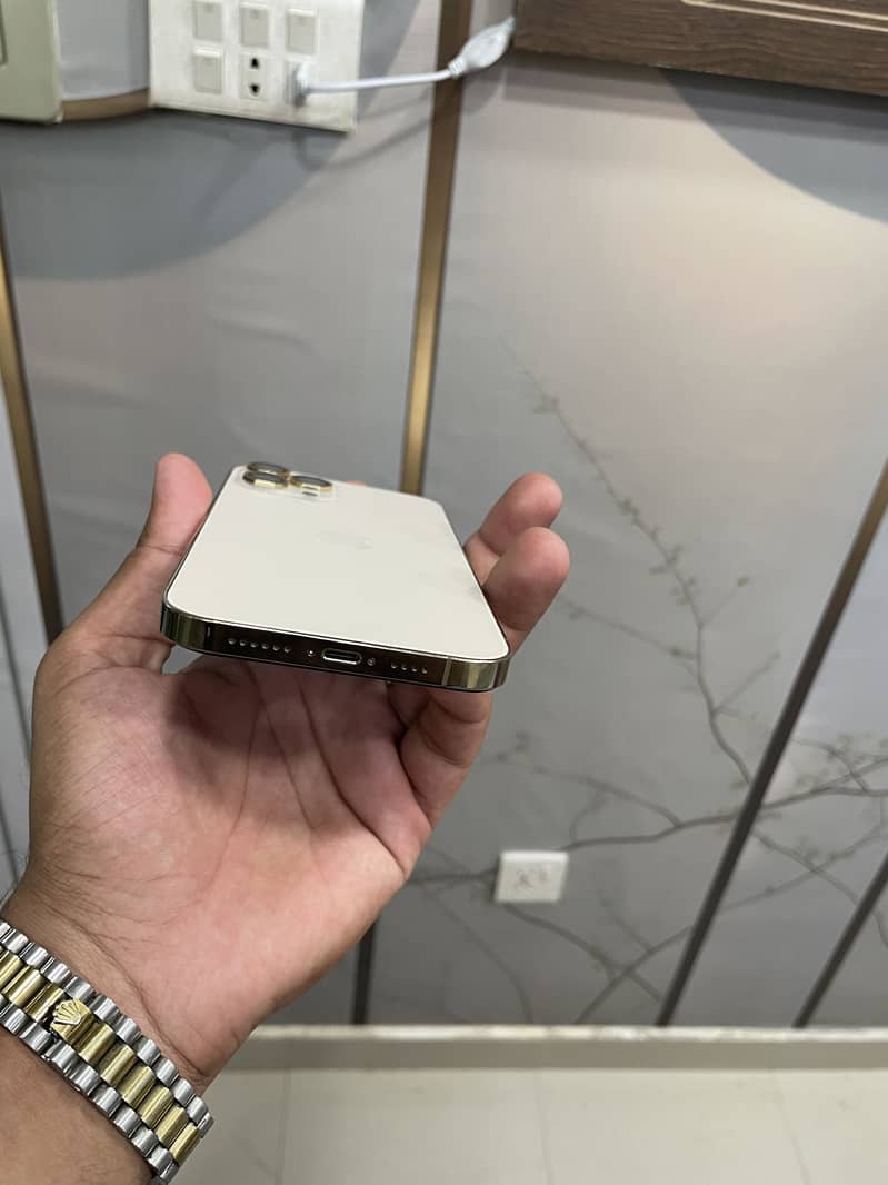 Apple iPhone 12 Pro Max 1