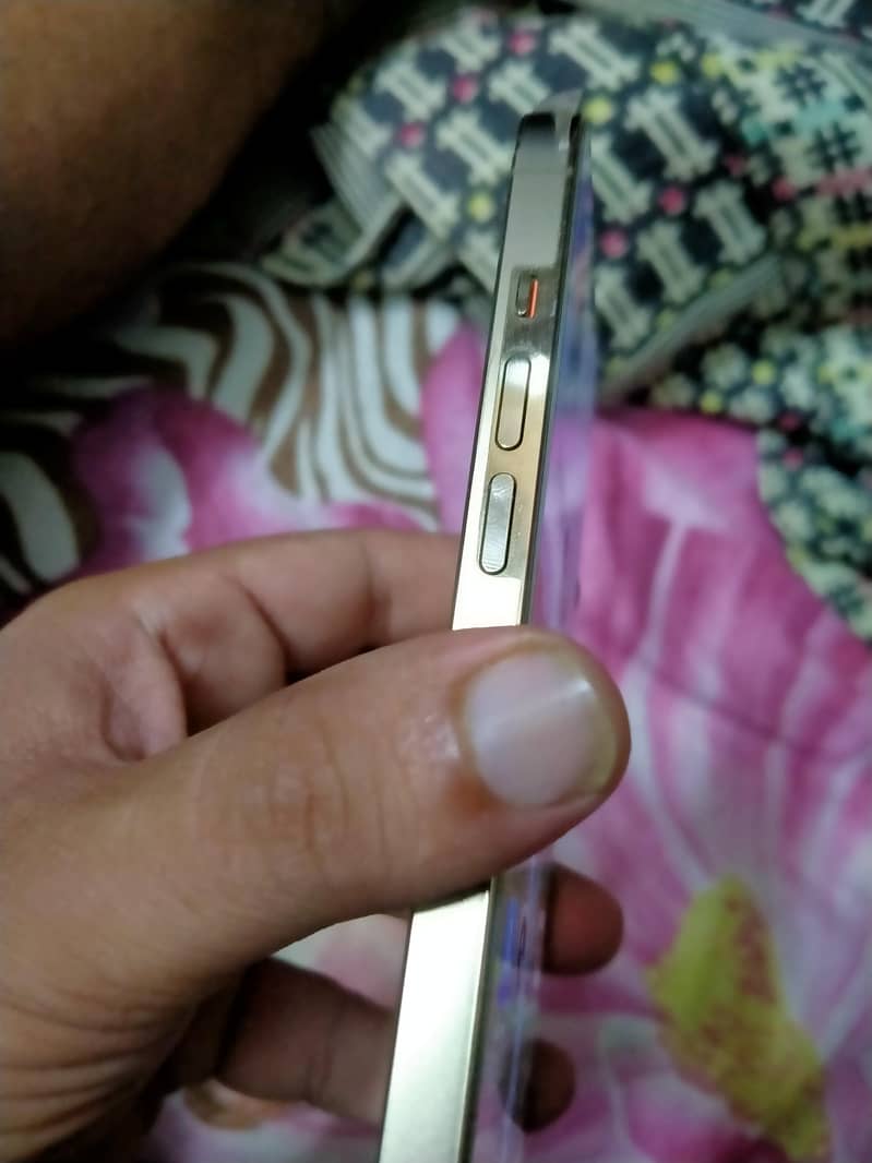 Apple iPhone 13 Pro 1