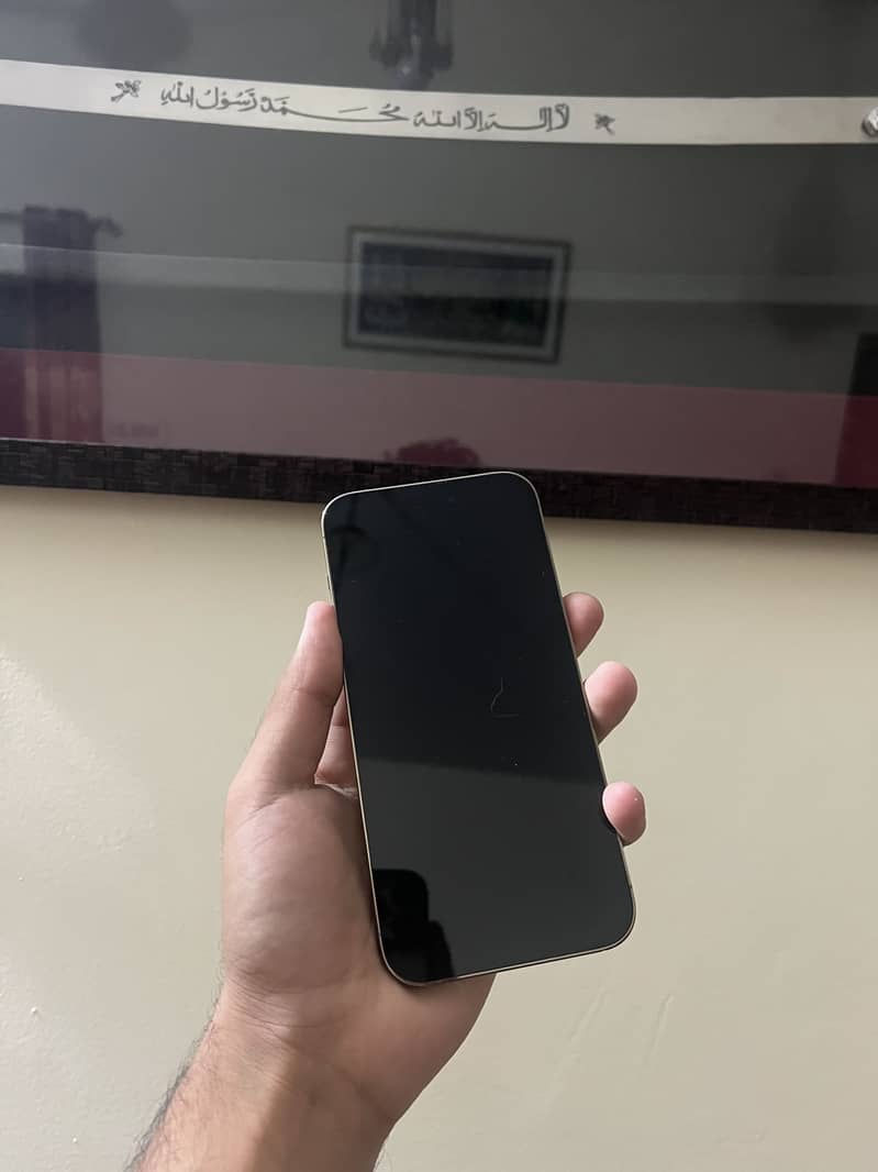 Apple iPhone 14 Pro Max 1