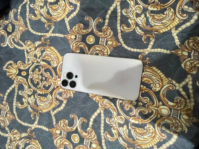 Apple iPhone 13 Pro Max 1
