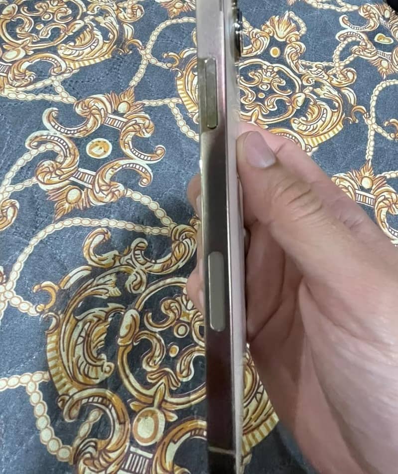 Apple iPhone 13 Pro Max 9