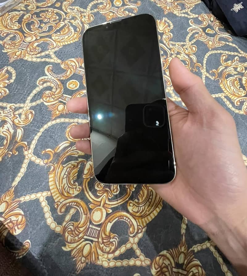 Apple iPhone 13 Pro Max 10