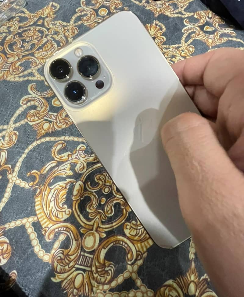 Apple iPhone 13 Pro Max 11