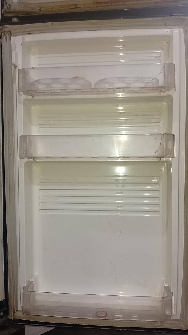 pel fridge 1