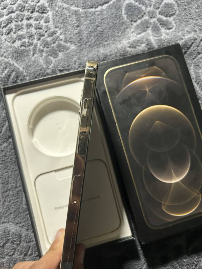 Apple iPhone 12 Pro Max 2