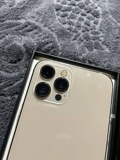 Apple iPhone 12 Pro Max
