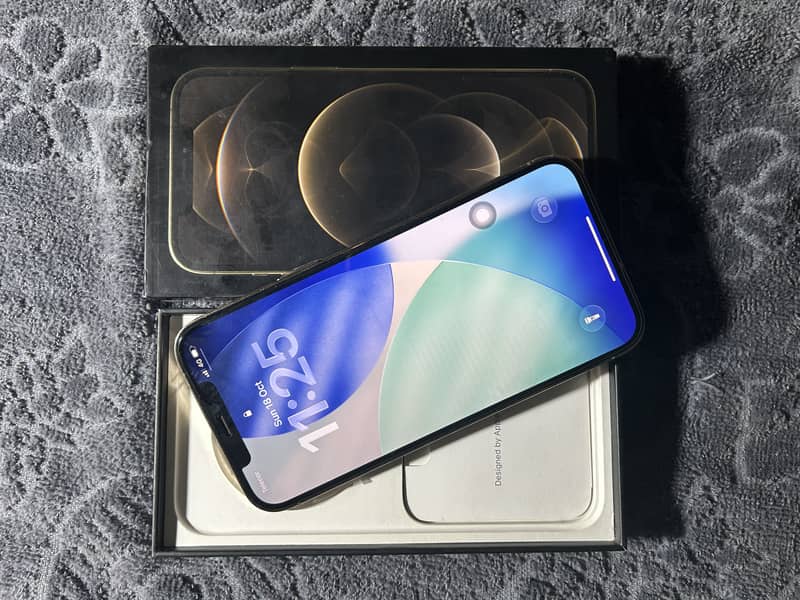 Apple iPhone 12 Pro Max 1