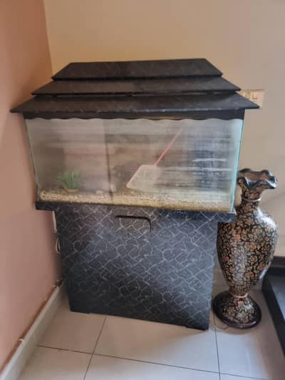 aquarium