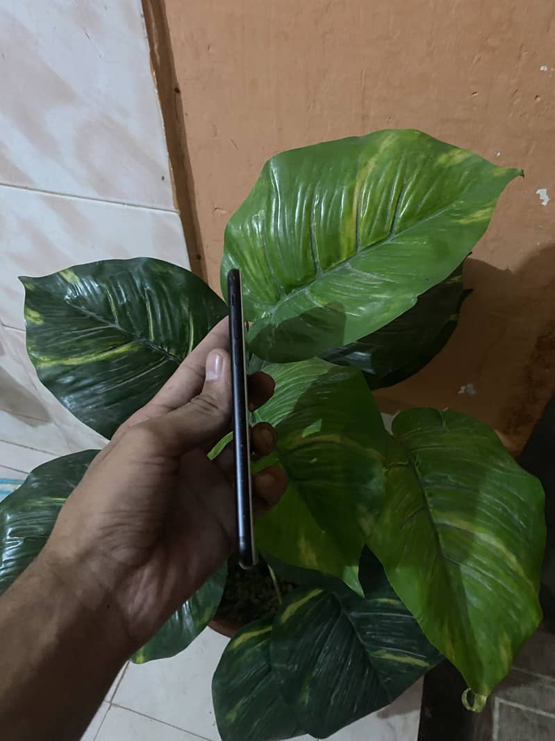 Apple iPhone 7 2