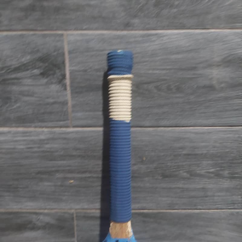 cricket bat 1