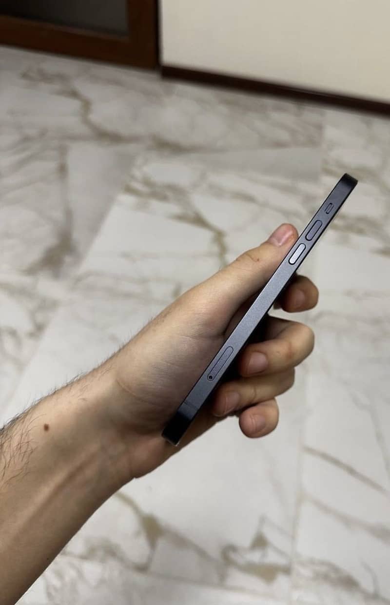 Apple iPhone 12 1
