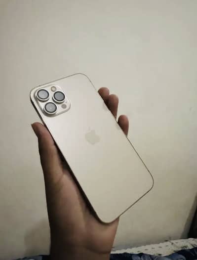 Apple iPhone 12 Pro Max