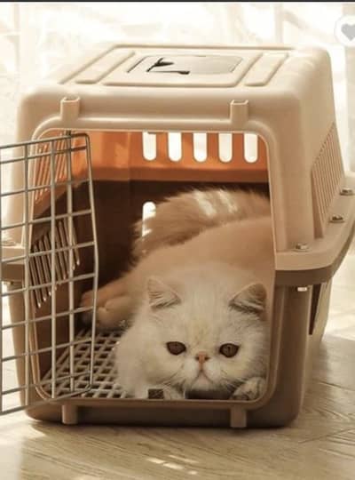 Cat / puppy carrier/ Travel carrier /medium size