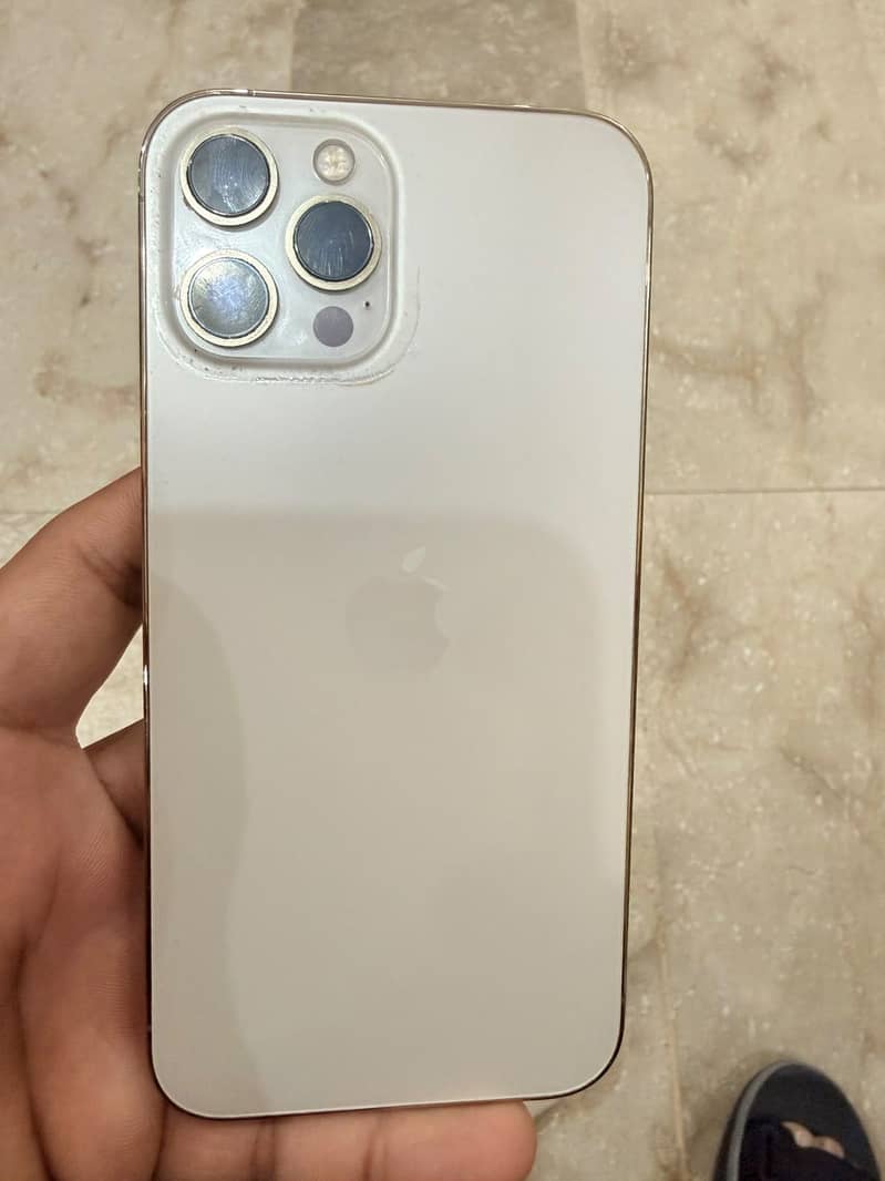 Apple iPhone 12 Pro Max 1