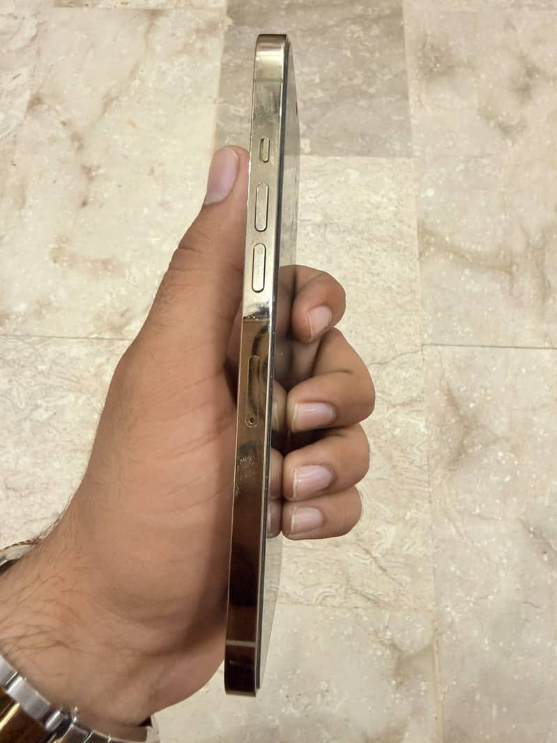 Apple iPhone 12 Pro Max 2