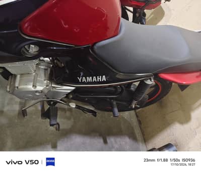 YBR 2023 03219599697