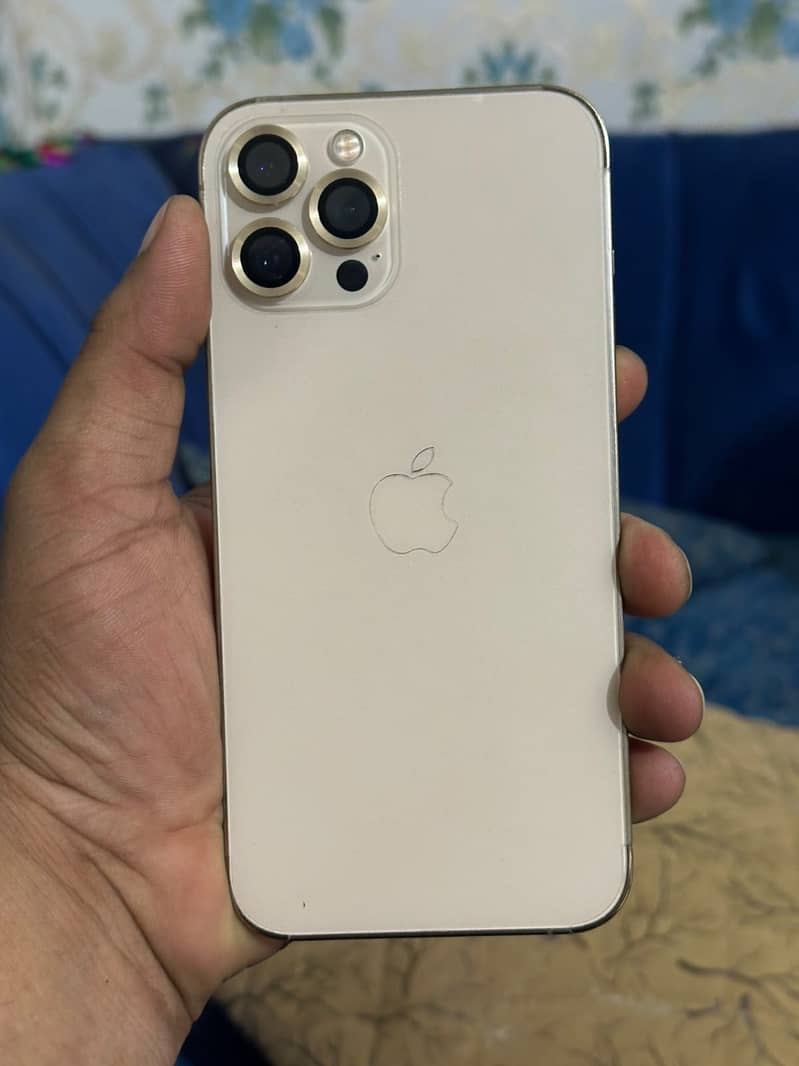 Apple iPhone 12 Pro Max 1