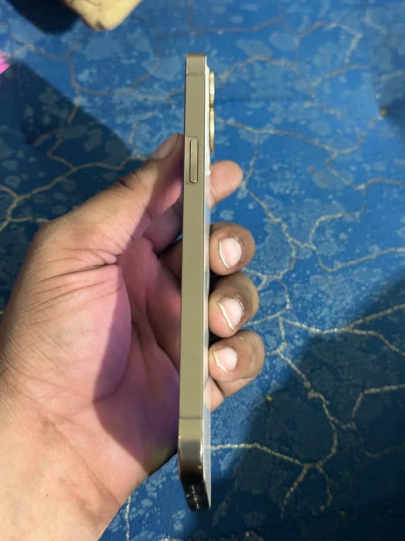 Apple iPhone 12 Pro Max 2