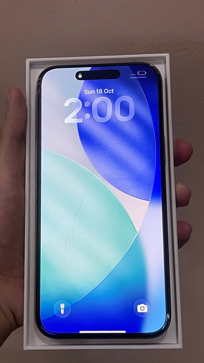 Apple iPhone 16 Pro Max 1