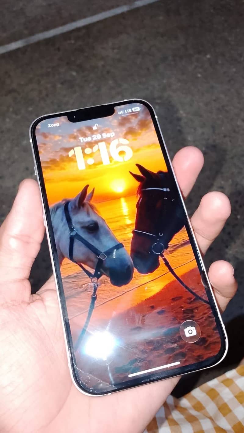 Apple iPhone 13 0
