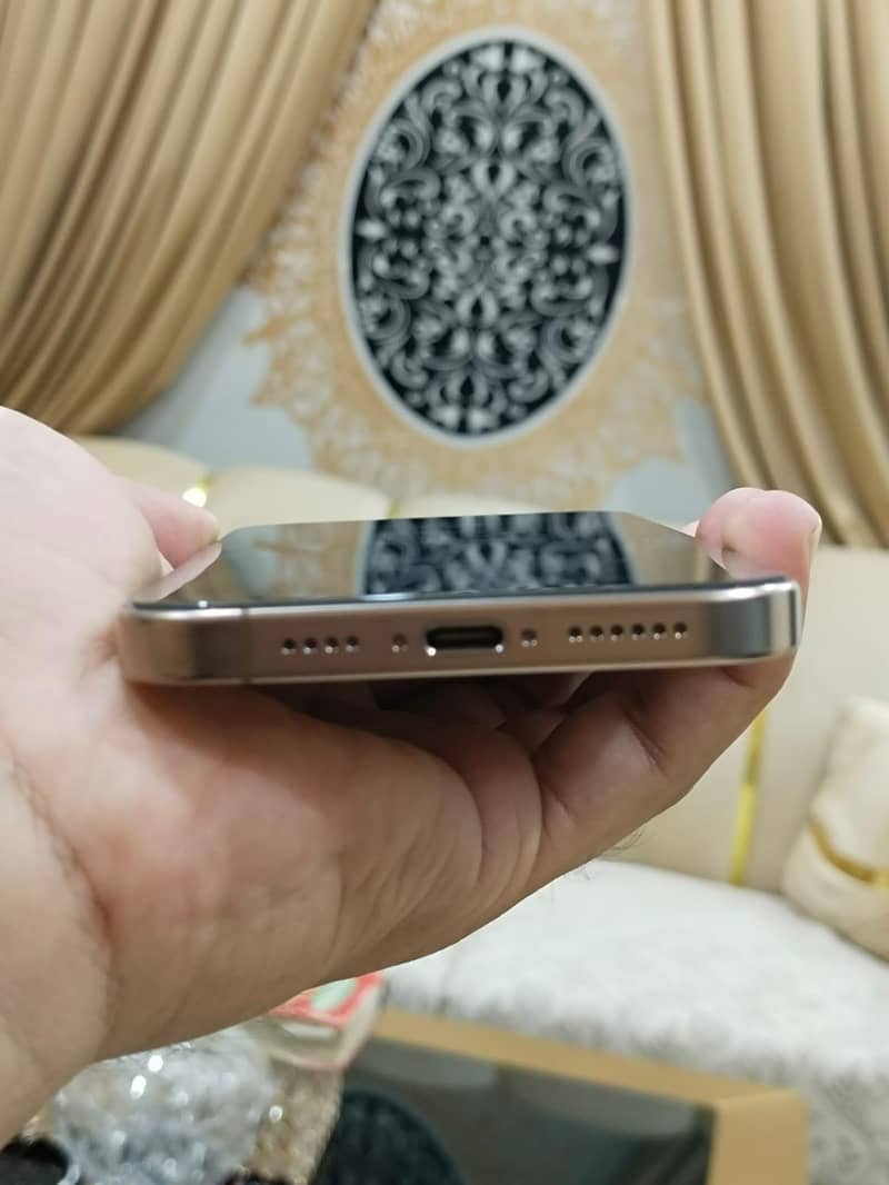 Apple iPhone 16 Pro Max 2
