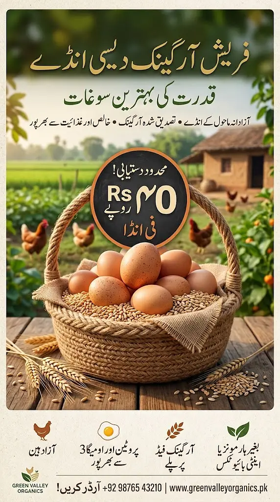 خالص دیسی انڈے - 100% نامیاتی (آرگینک) دیسی خوراک پر پلے ہوئے مرغیاں!