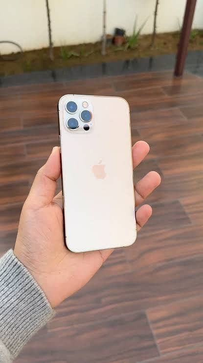 Apple iPhone 12 Pro Max 1