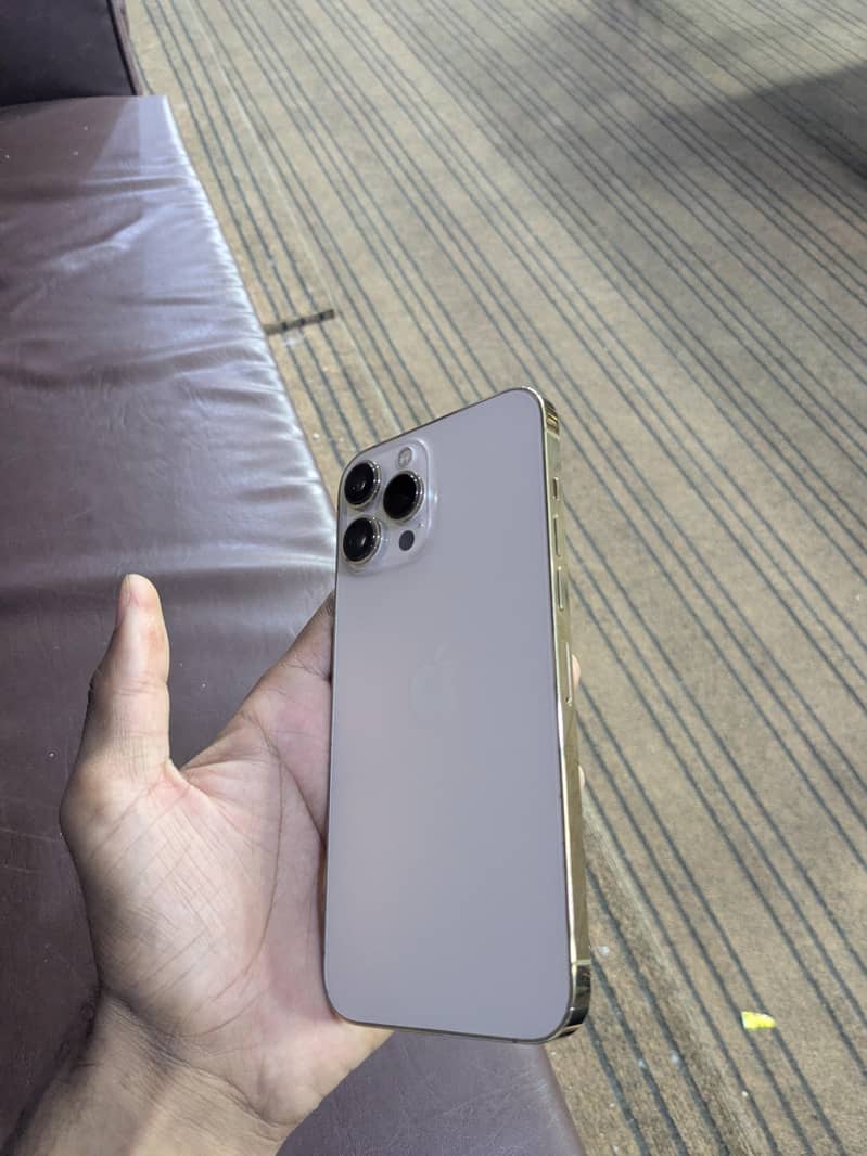 Apple iPhone 13 Pro Max 1