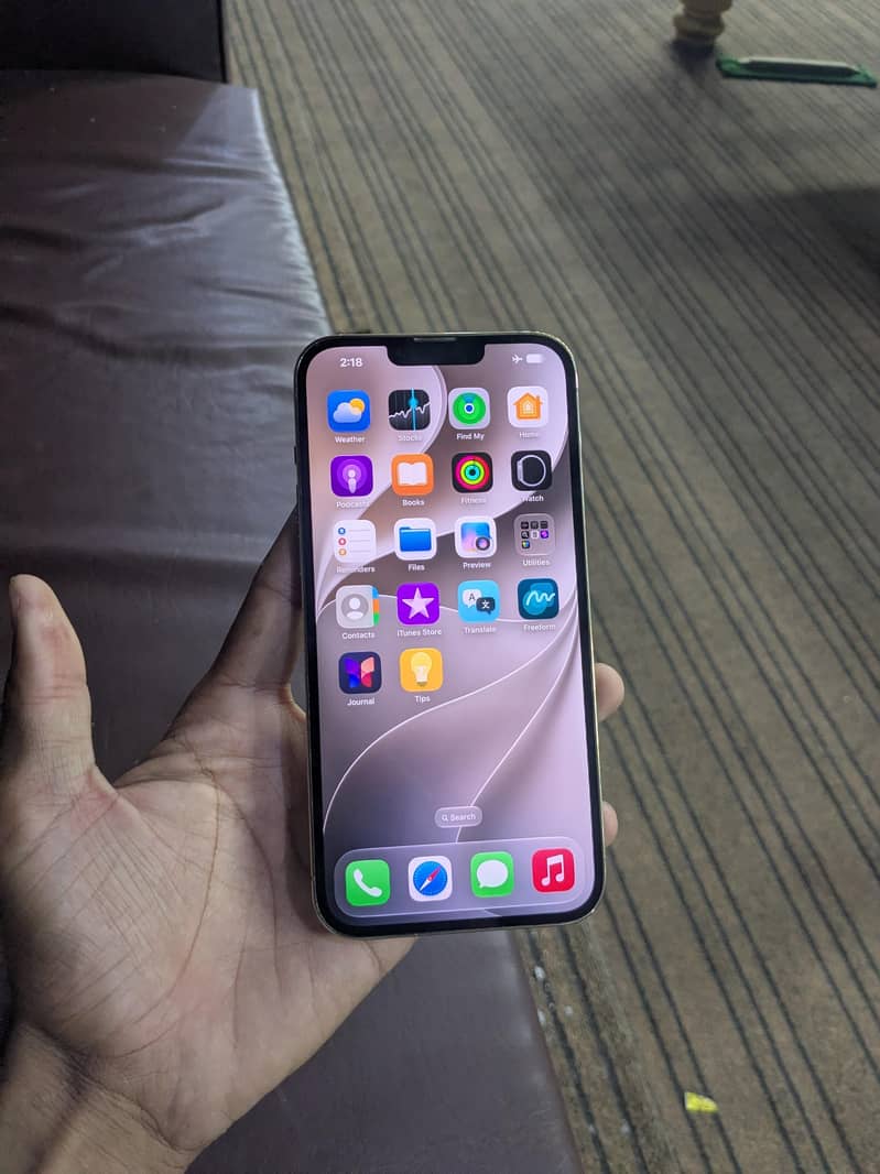 Apple iPhone 13 Pro Max 2
