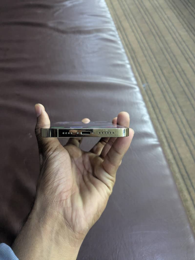 Apple iPhone 13 Pro Max 4