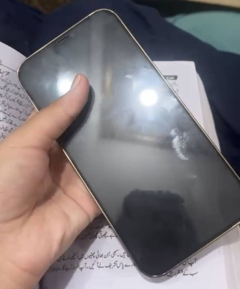 Apple iPhone 12 Pro Max 2