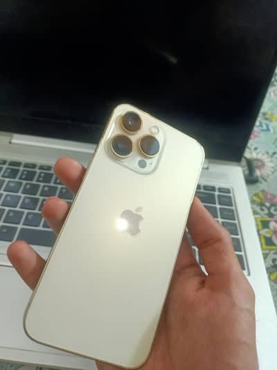 iPhone 13 Pro Fu