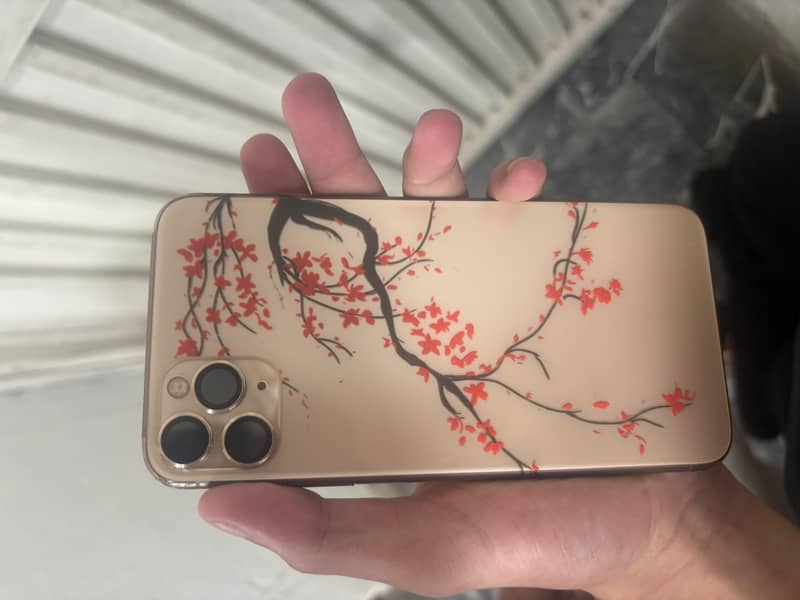 Apple iPhone 11 Pro Max 1