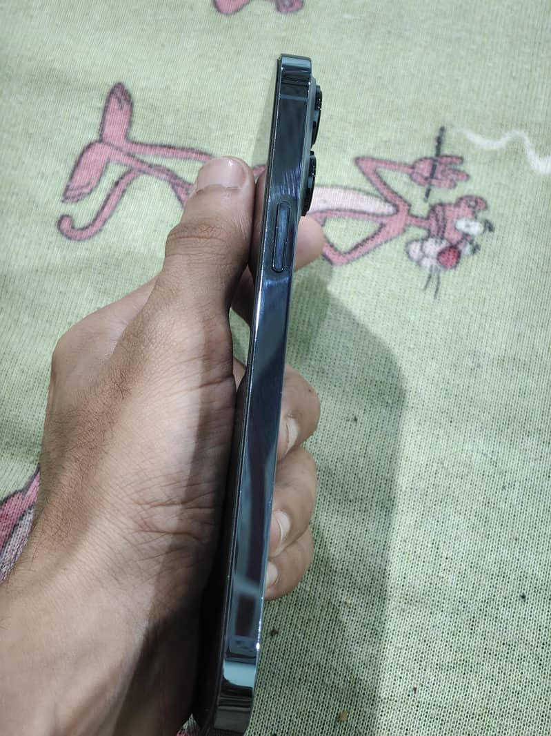 Apple iPhone 13 Pro Max 1