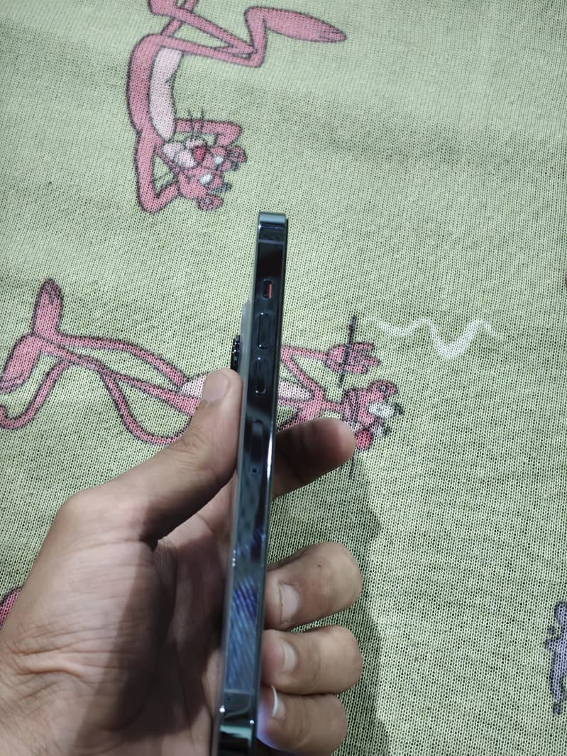 Apple iPhone 13 Pro Max 2