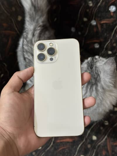 Apple iPhone 13 Pro Max