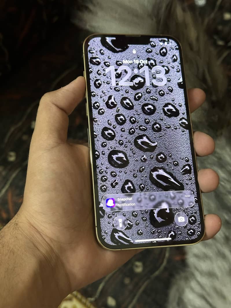 Apple iPhone 13 Pro Max 1