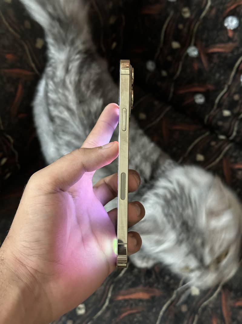 Apple iPhone 13 Pro Max 2