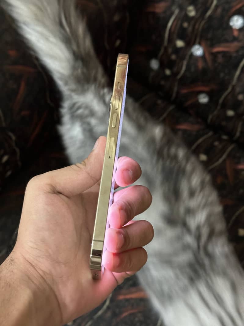 Apple iPhone 13 Pro Max 3