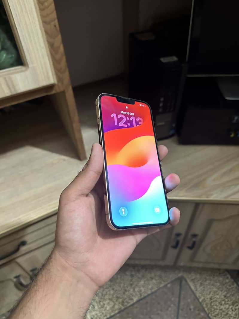 Apple iPhone 13 Pro Max 0