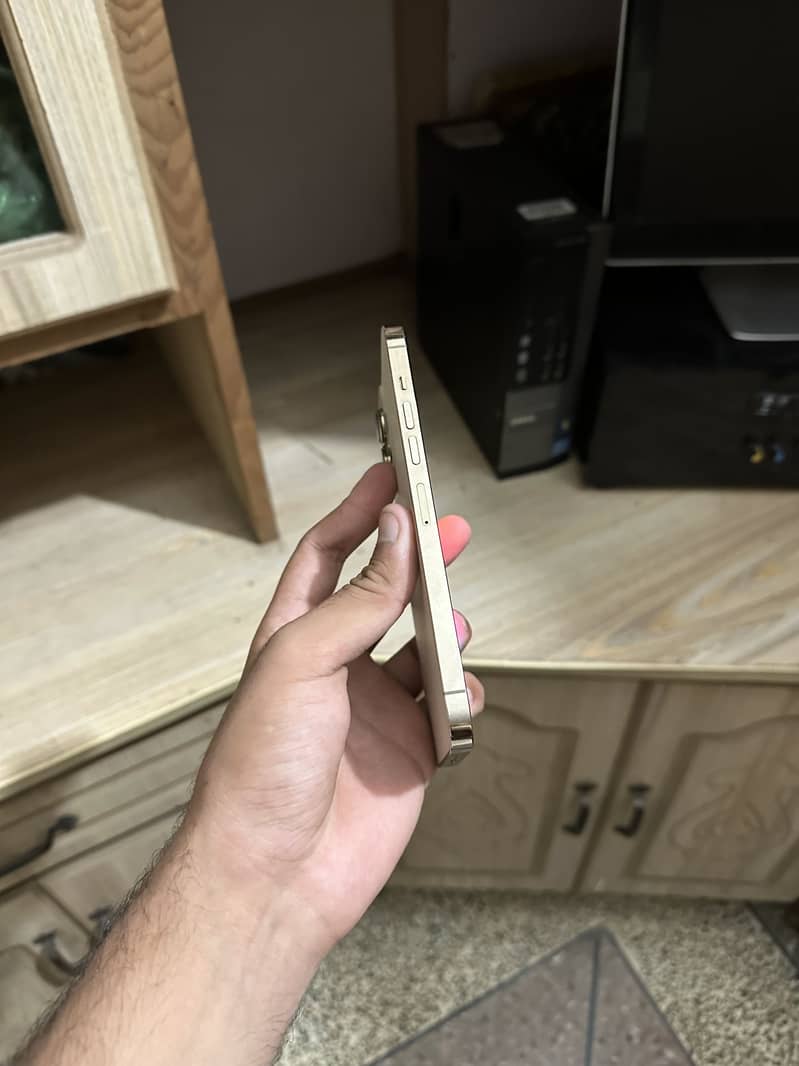 Apple iPhone 13 Pro Max 1