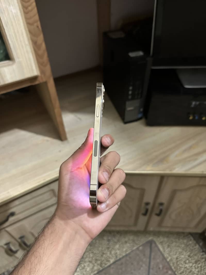 Apple iPhone 13 Pro Max 2