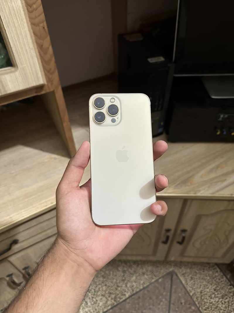 Apple iPhone 13 Pro Max 3