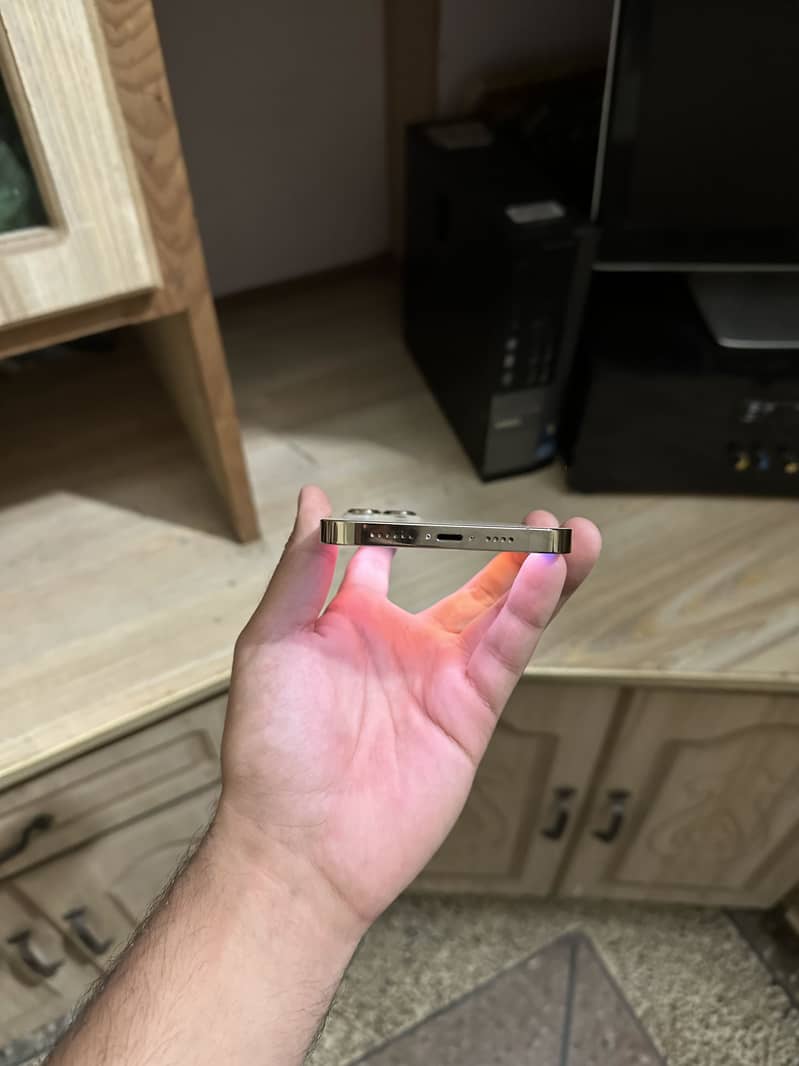 Apple iPhone 13 Pro Max 4