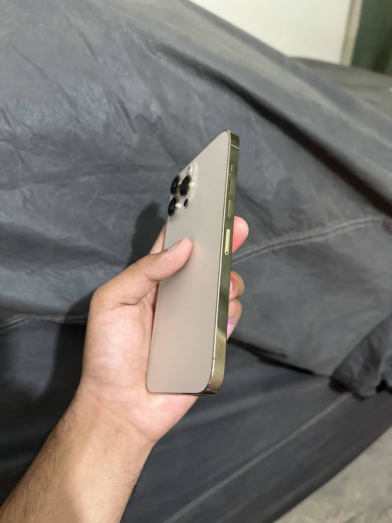 Apple iPhone 13 Pro Max 0