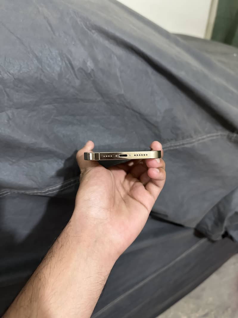 Apple iPhone 13 Pro Max 1